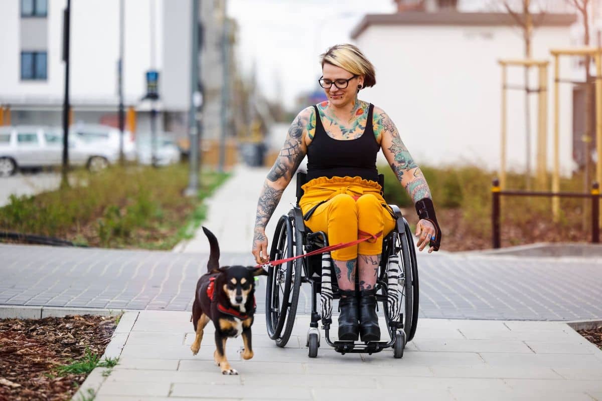 Female dog owner with vibrant tattoos take her small dog for some exercise